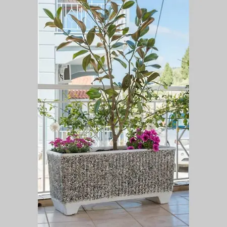 Thea * Βλαχάτα